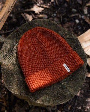 Men's Passenger Compass Recycled Beanie Rust | US-OGWJFE139