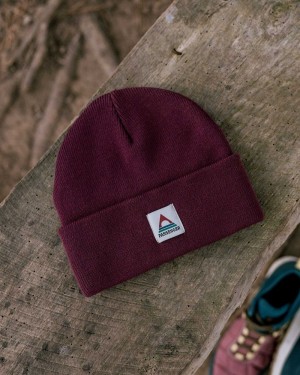 Men's Passenger Core Recycled Low-Top Beanie Wine | US-DWFNKM408