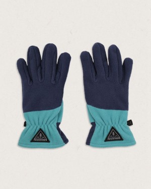 Men's Passenger Daytrip Recycled Polar Fleece Touch Screen Gloves Blue Coral | US-RIUXWO058