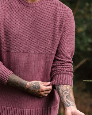 Men's Passenger Swell Knitted Jumper Crushed Berry | US-GFMNOY836