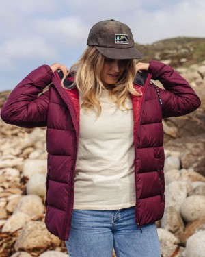 Women's Passenger Parks Recycled Insulated Jacket Windsor Wine | US-WYQKIB475