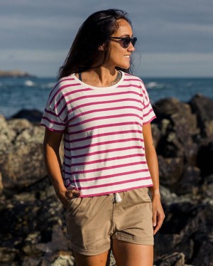 Women's Passenger Skye Stripe T-Shirt Fuchsia | US-JXUVBE167