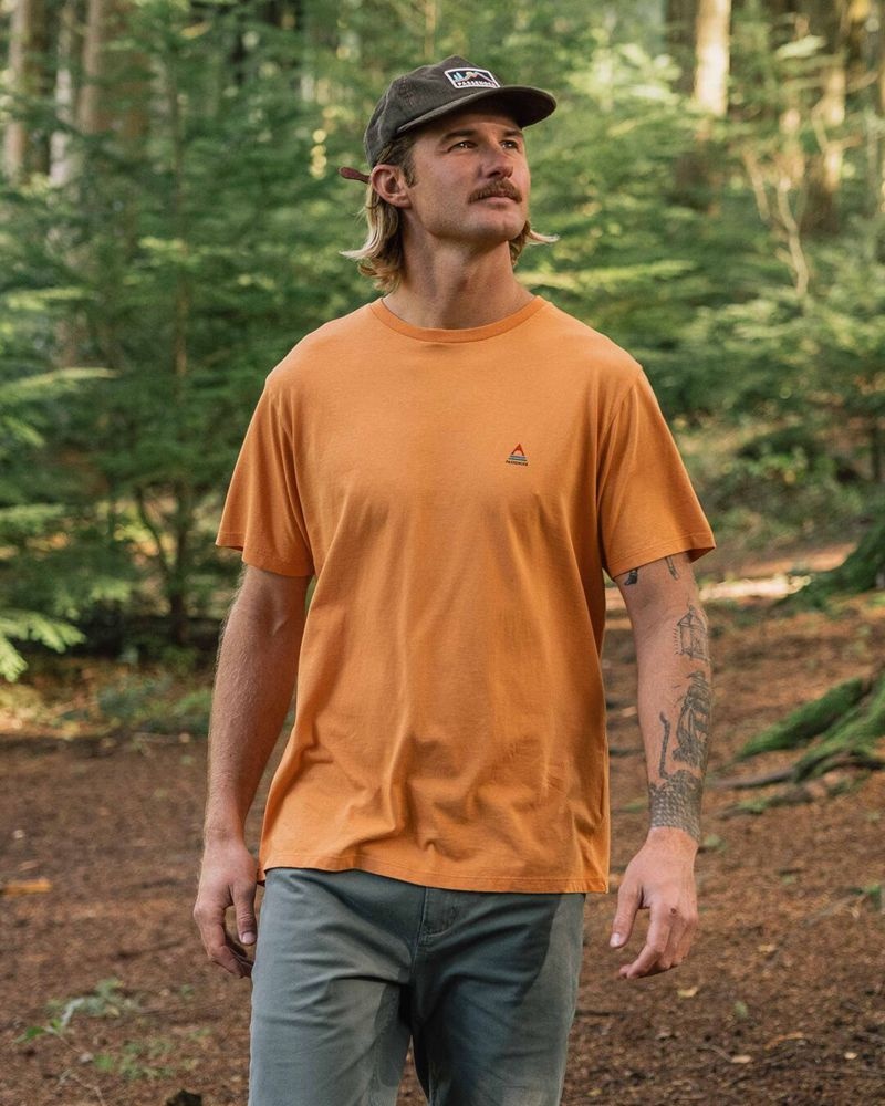 Men's Passenger Classic Logo Recycled Cotton T-Shirt Tangerine | US-AXZNKD971