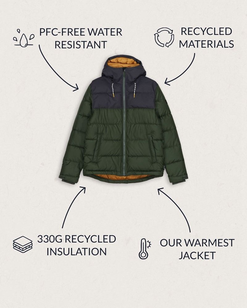 Men's Passenger Manitoba Recycled Jacket green | US-KQYJZE910