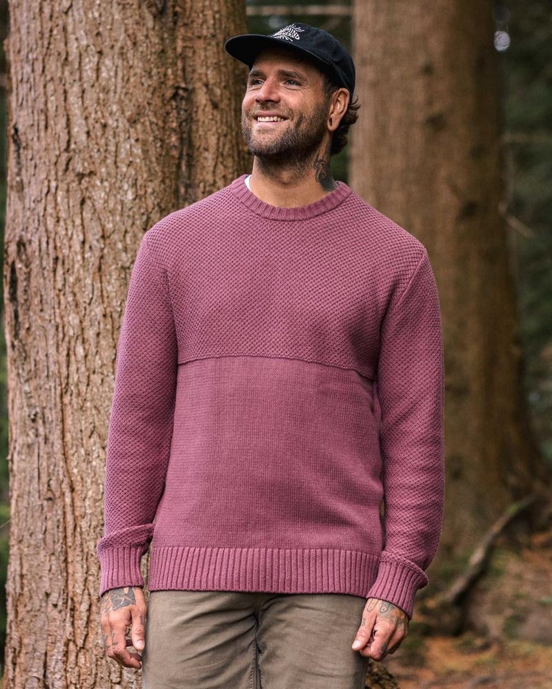 Men's Passenger Swell Knitted Jumper Crushed Berry | US-GFMNOY836