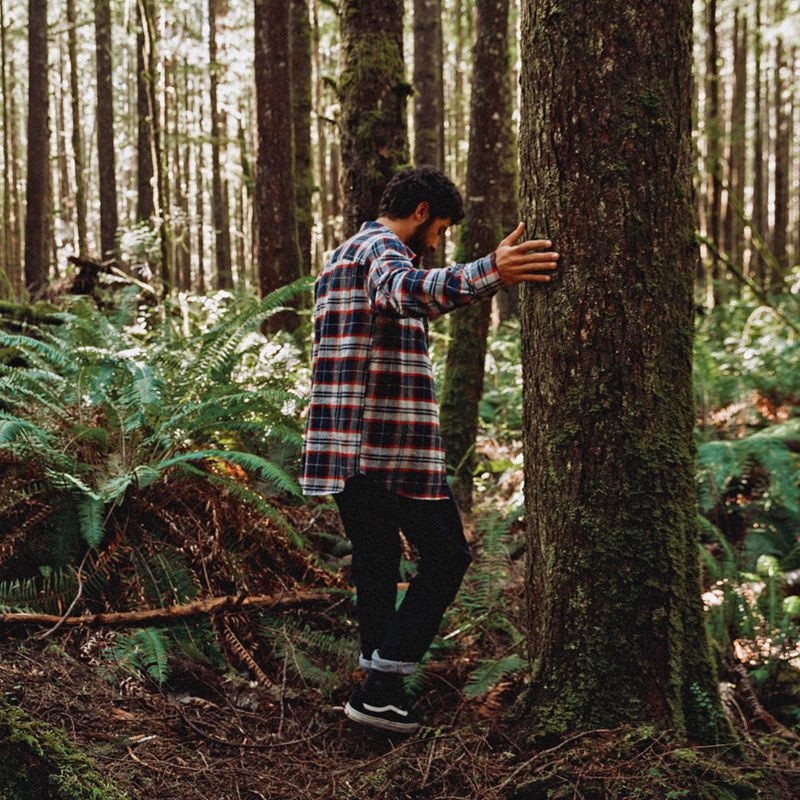 Men's Passenger Treeline Shirts Red/Navy Check | US-YRZKNF630