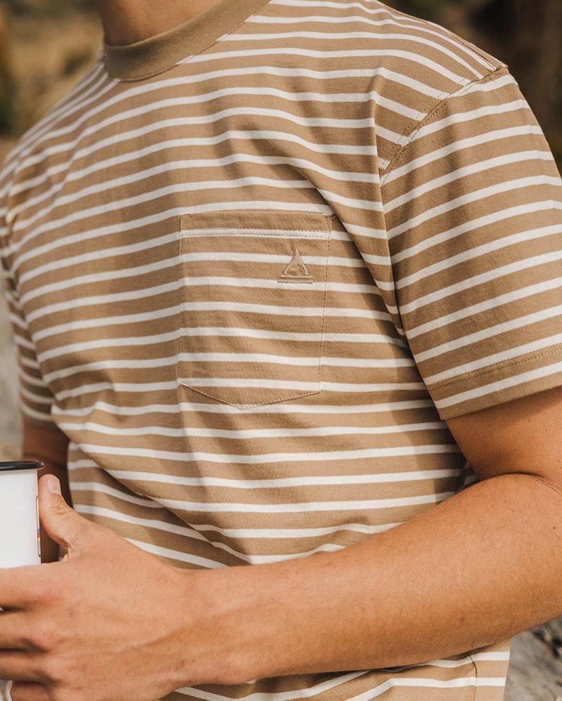 Men's Passenger Zen Recycled Cotton Stripe T-Shirt Brown | US-PFXCZG682