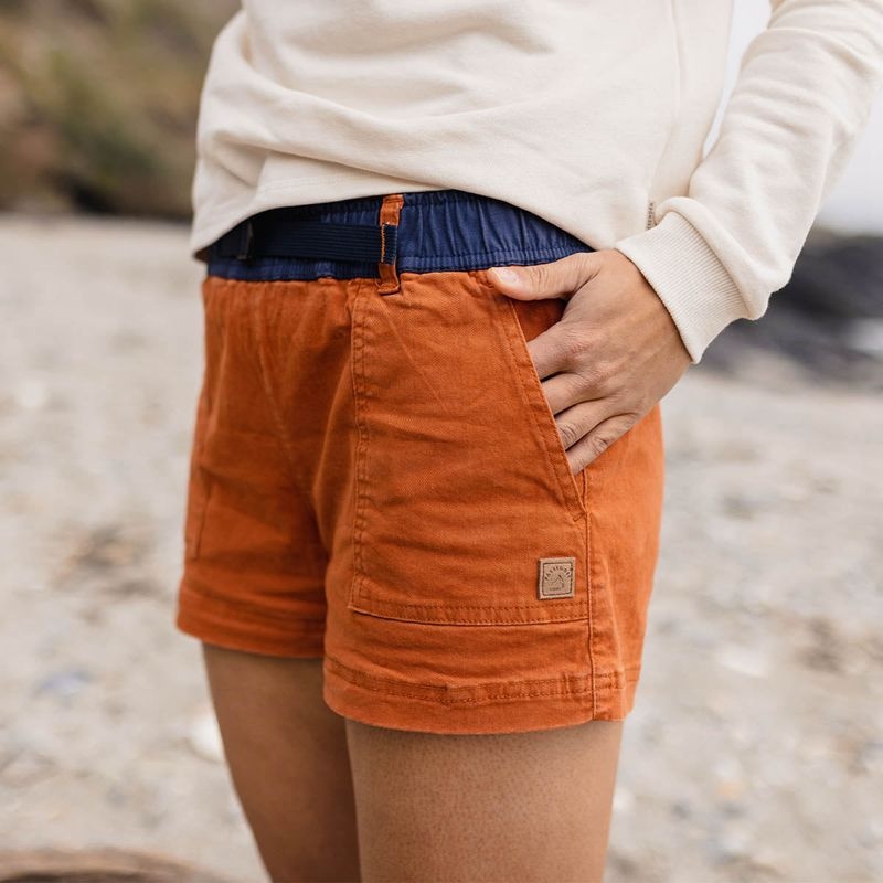 Women's Passenger Del Sur Shorts Bombay Brown | US-ZBSJCH704